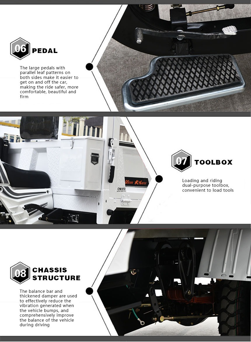 DAYANG Chongqing Gas Engine Water-Cooled Tricycle Truck for Africa Market 3 Wheels