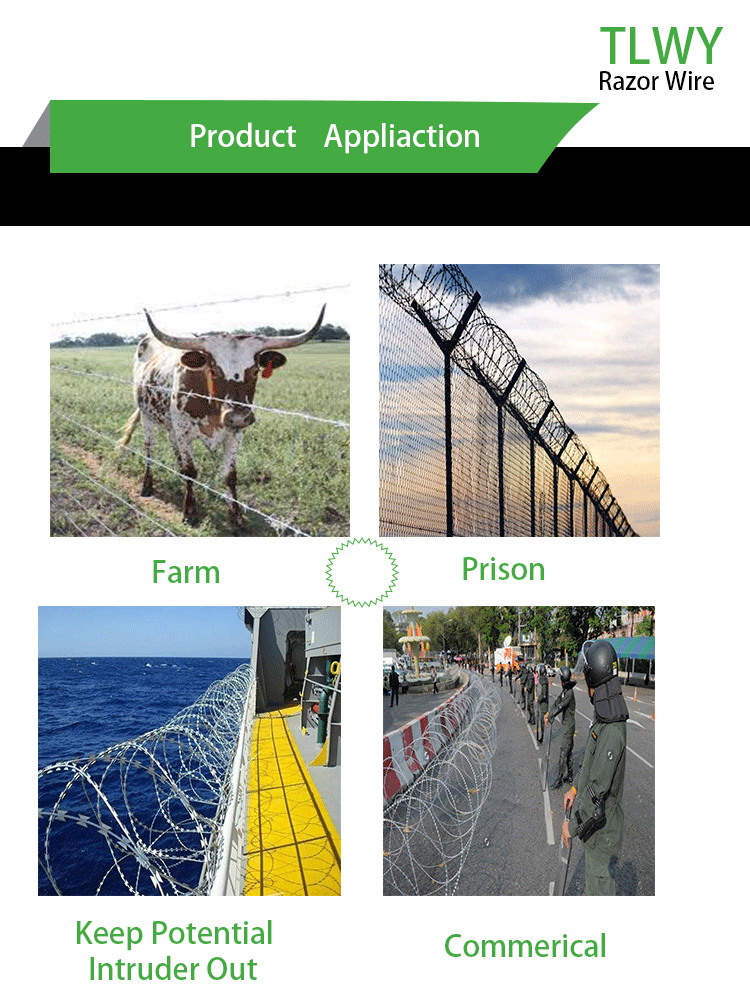 0.4mm-0.6mm PVC Coated Barbed Wire Anti Climb Heat Treated
