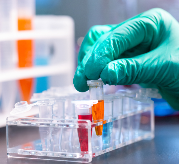 Laboratory Cuvette Mindray Disposable Plastic Cuvette for Analyzer Mindray Sample Cups