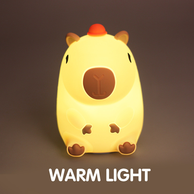 Non-Toxic Platinum Silicone LED Night Light for Office and School