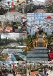 Customization Versatile Large Outdoor Party Tent Waterproof Event Tent