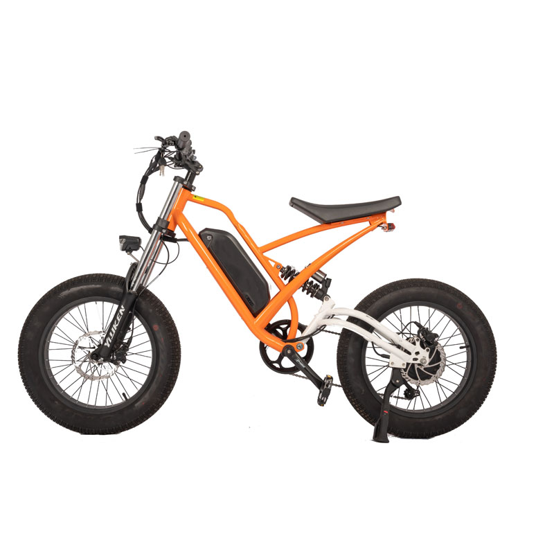 Off-Road Electric Fat Tire Bike Rear Hub Motor 20" Wheel Size for Exciting Adventures