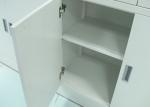 Acid And Alkali Resistance Biology Lab Furniture , Steel Medicine Cabinet