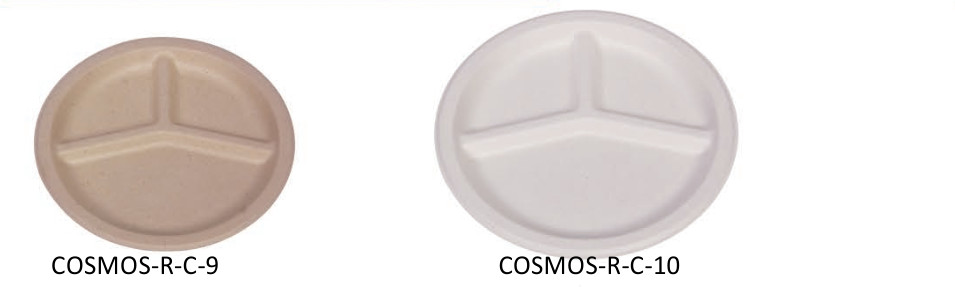 Disposable Tableware Biodegradable Sugarcane Bagasse Plates Refrigerator Wedding