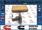 Fuel Injector 3080766 3087560 3411766 3083846 3083622