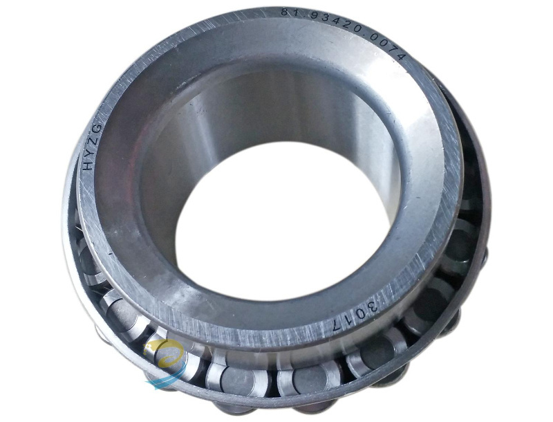 Shaanxi Shacman Truck Spare Part Front Wheel Hub Bearing 81934200074