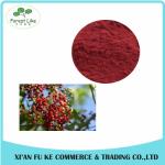 100% Natural Elderberry Extract Powder 10:1 20:1