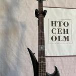 Custom Special Shape 4 Strings Electric Bass Guitar Basswood Body with Matte