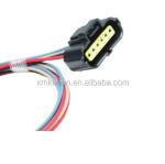 Male-Female OEM ODM ISO9001 Auto 6 Pin Connector Wire Harness and Cable Assembly