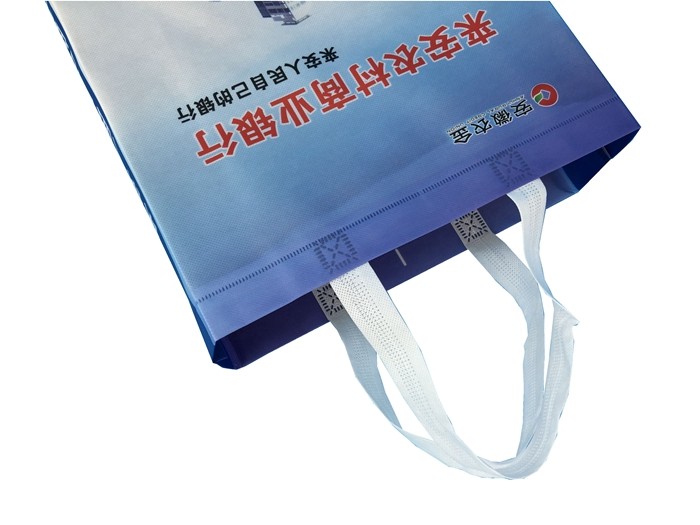 Eco-friendly Cheap Promotional ultrasonic non woven bag with bank logo