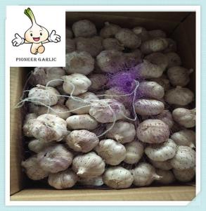Quality 2016 New Crop Chinese Garlic /2016 Frozen Garlic/bottled garlic wholesale