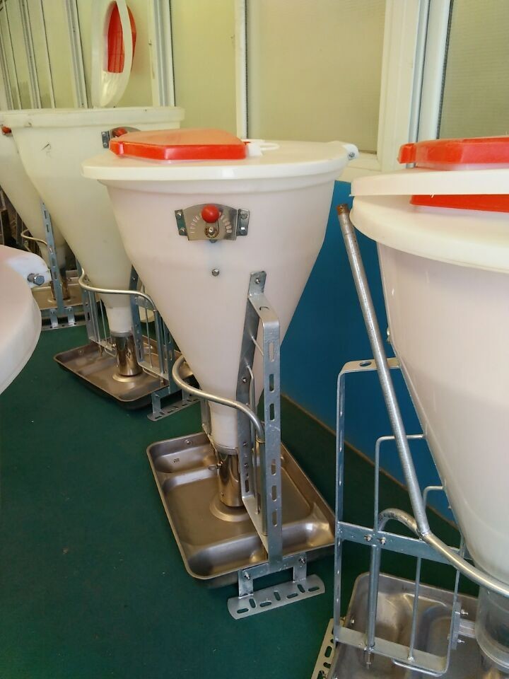 Stainless Steel And Plastic Automatic Pig Feeder , Wet Dry Hog Feeders