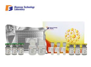 Quality Laboratory Research TK1 Canine ELISA Kits Thymidine Kinase 1 Soluble ELISA Kit 96 Well Plate wholesale