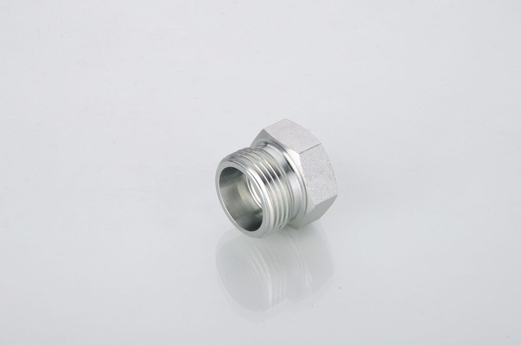 Hydraulic Fitting Plug 4c 4D 4c-Rn 4D-Rn with Good Price