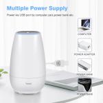 Usb Household Double Switch Air Purifying Aroma Diffuser
