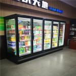 110V Reach In Glass Door Display Chiller With Remote Compressor Unit