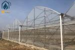 Multi Span Agriculture Greenhouse For Sustainable Crop Cultivation
