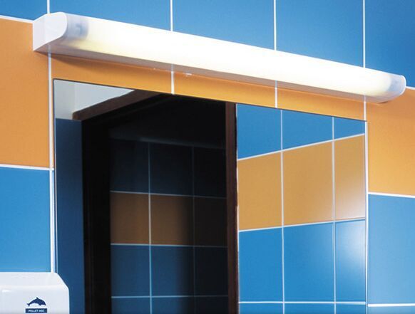 Competitive LED replacement s19 300mm led lamp for Bathroom