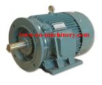 Engine Motor three phase Super High Efficiency AC DC Electric Motor