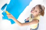 Traditional Design Style Waterproof Coating Powder or Liquid for Long-Lasting