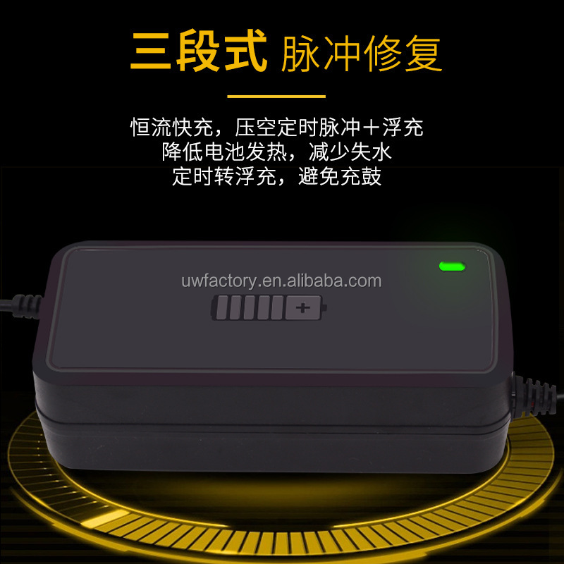 Electric Vehicle 12v 24v 8a 6a 10a Smart Charging Pulse Repair Automatic Maintainer Lead Acid Battery Charger For E-bike