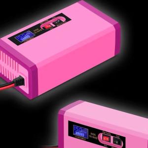 Quality 12v10a Motorcycle Smart Charger wholesale