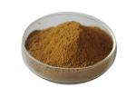 USP Grade Organic Ginkgo Biloba Powder