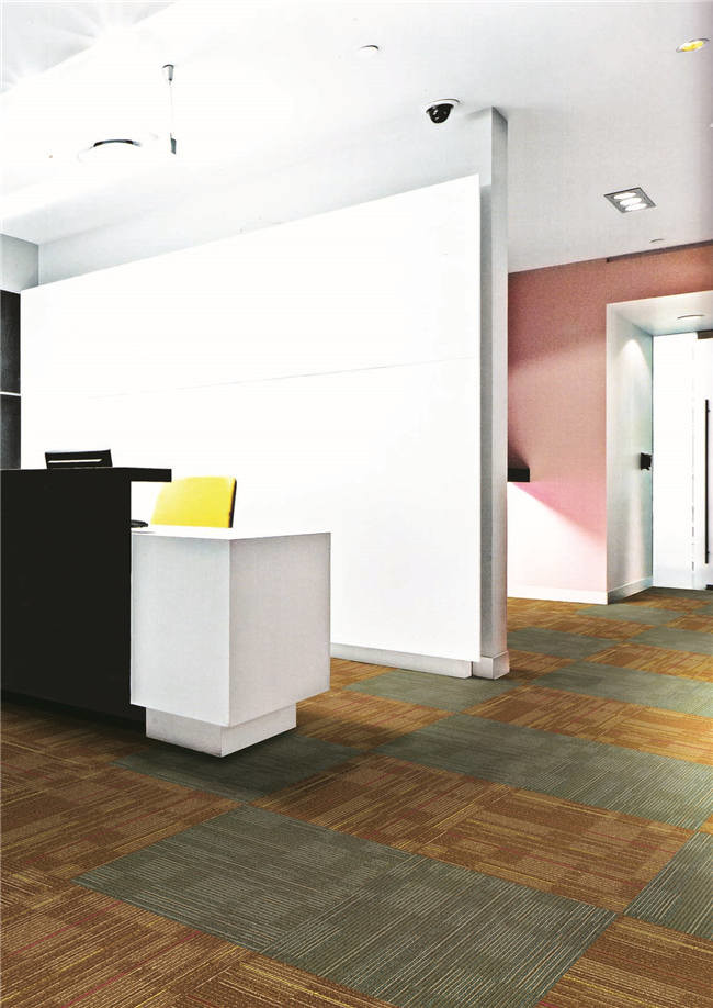 Roman - R62 Commercial Carpet Tiles Modern Carpet Squares Multi Function