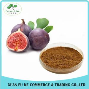 Quality Fig Extract Powder/ Fig Extract for Herbal Medicine wholesale