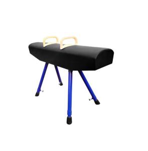 Quality Fig Approval Gymnastics Artistic Gymnastics Olympia Low Pommel Horse wholesale