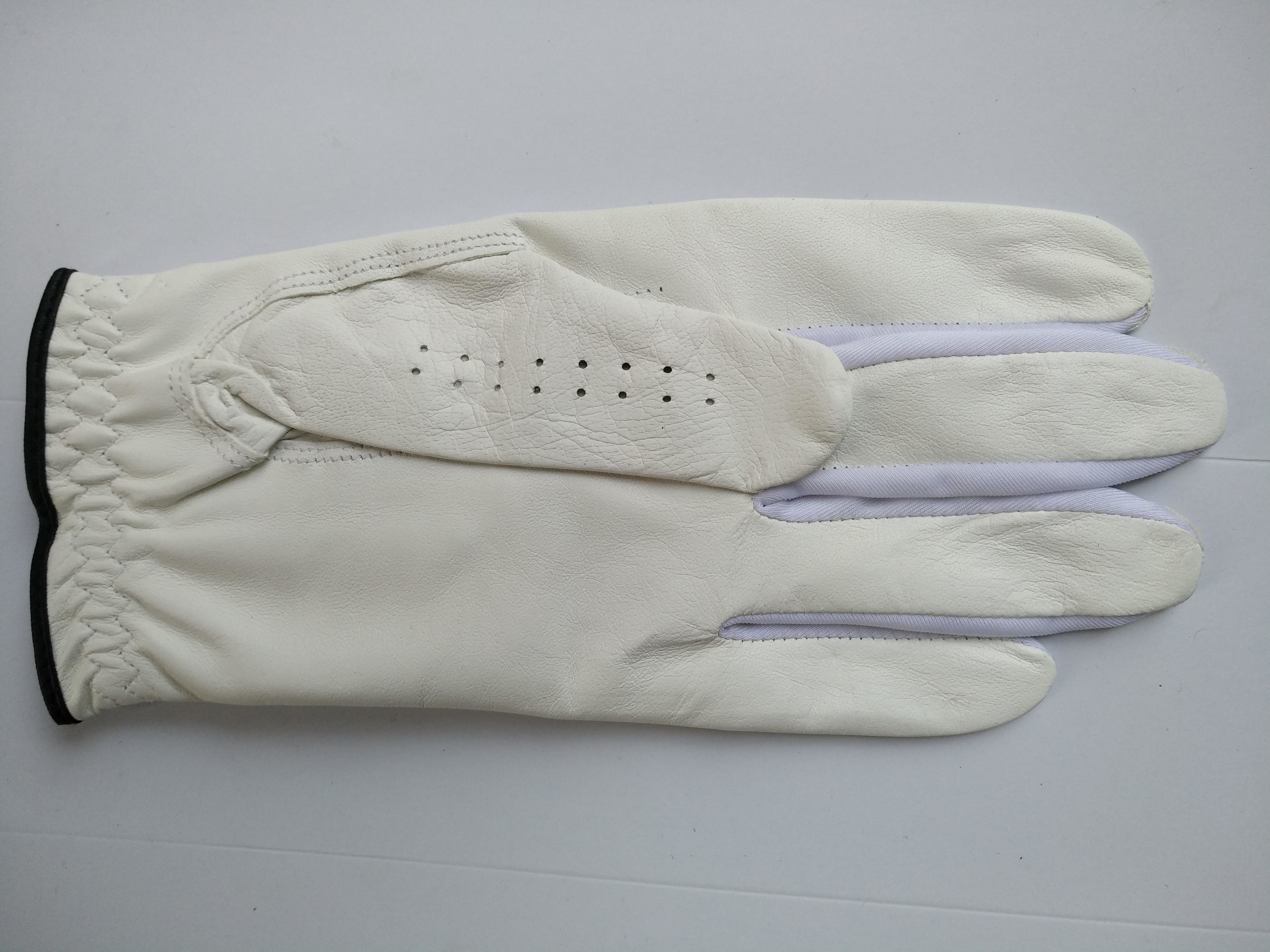 golf glove , golf gloves , glove , gloves