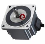 90mm Brushless DC Electric Motor 220W 160VDC Brushless Direct Current Motor