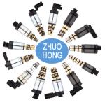 Black Compressor Control Valve For DENSO 5SE09C 5SE12C 6SEU16