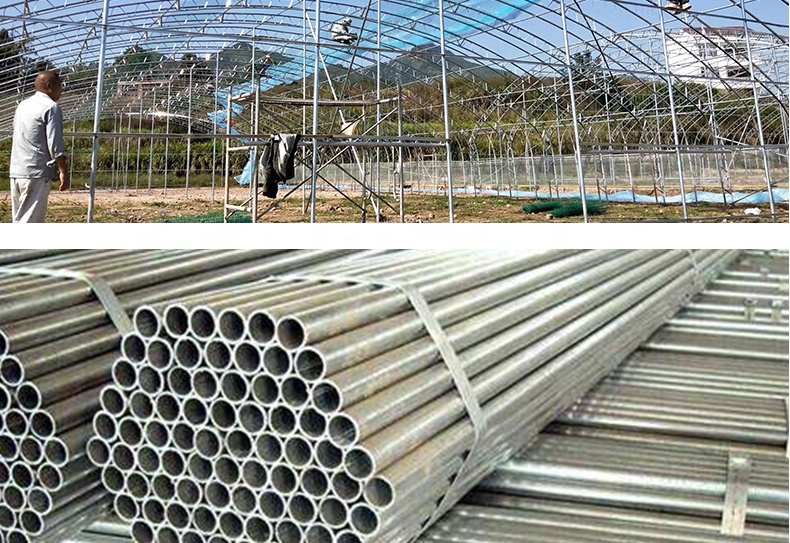 Customized Multi-span Vegetable Grow Tunnel Greenhouse for Vegetable Cultivation