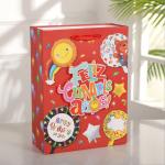 210gsm Cardboard Paper Bags Ribbon Handle For Children'S Day Party Blue Red
