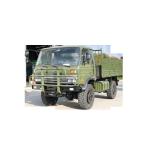 12.5R20 Tire 4X4 Truck for Off Road Cargo Transport in Africa's Extreme