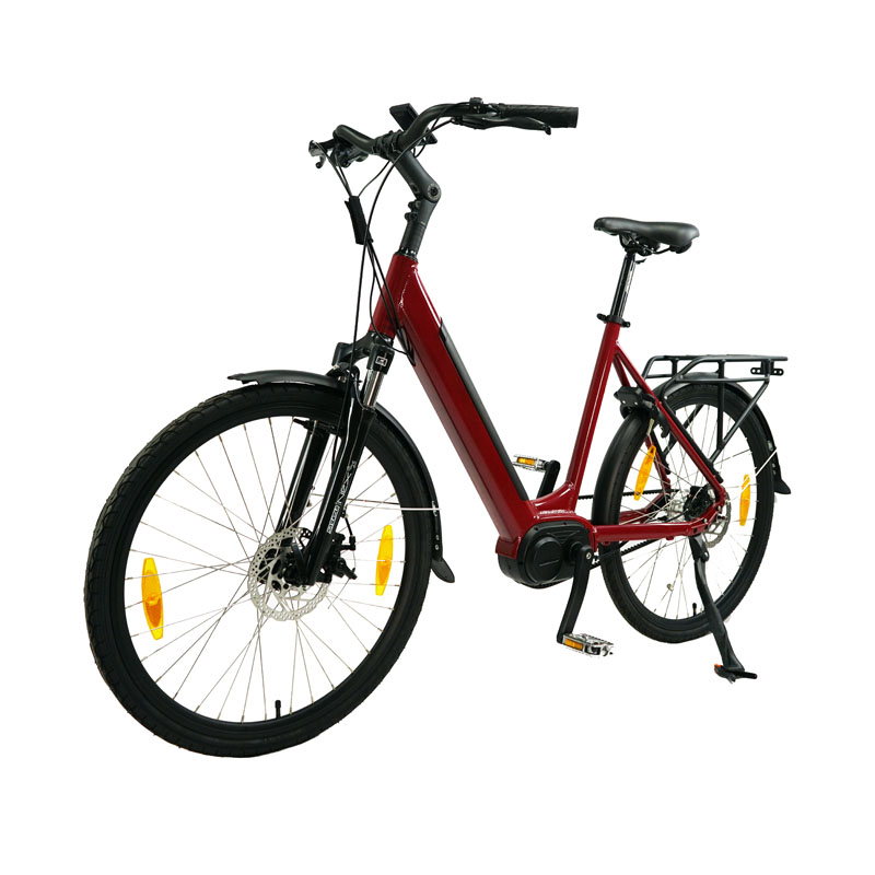 Electric Bicycle for Adults Fast Speed Customized Design and 1-3 Hours Charging Time