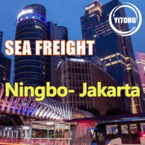 Quality NVOCC ISEA 9 Days Worldwide Sea Freight From China To Indonesia Jakarta wholesale