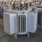 Oil Immersed Distribution Transformer 10kv