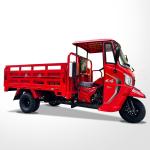Five Wheels Type Tricycles Motorcycle for Adult Farm Load Customized in Top