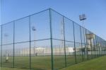 PVC Chain Link Fence for Tennis Soccer Field Court Yard and Garden