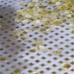 Vegetable Gelatin / Starch Erkang Carrangeen Soft Capsule Making Machine