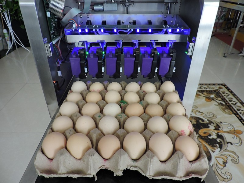 60W Egg Marking Equipment Thermal Foam Type With 1-4 Printing Lines