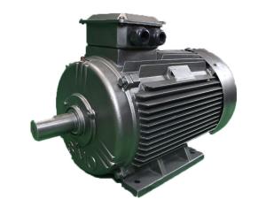 Quality YE4 80M1-2 0.75KW LV Three Phase Asynchronous Motor IC411 Cooling wholesale