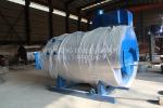 Commercial Food Factory Gas Fired Steam Boiler Fire Tube Structure CE Certificat