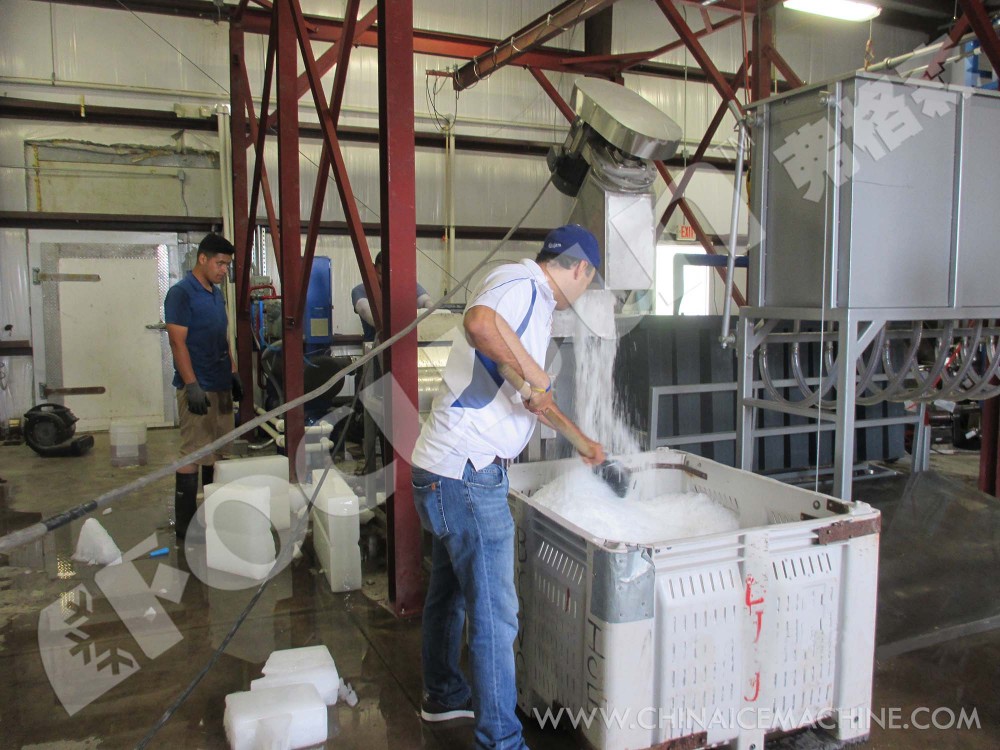 Long Service Life Block Ice Maker with Brine System and Ice Crusher 5000 kilos per Day