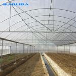 Agricultural Commercial Industrial Plastic Film Tomato Grow System 150 Micro