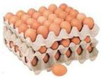 Egg Tray Forming Machine