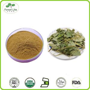 Quality High Quality Epimedium Extract Icariin 98%.Icariin 98% Powder wholesale