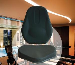 Quality Cushion in Upright Exercise Bike wholesale